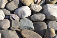 Graviers (Alluvions de la Moselle), principalement composés de quartzite et quartz