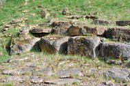 Calcaire coquiller et corallien (Calcaire de Rumelange)