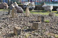 Calcaire coquiller et corallien concassé (Calcaire de Rumelange)