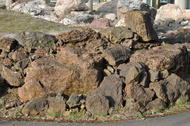 Minerai de fer oolithique (Minette)