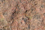 Minerai de fer oolithique (Minette)