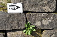 Grès (Grès de Luxembourg), mur en maçonnerie sèche
