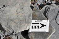 Schistes ardoisiers