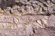 Quartzite
