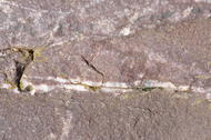 Quartzite